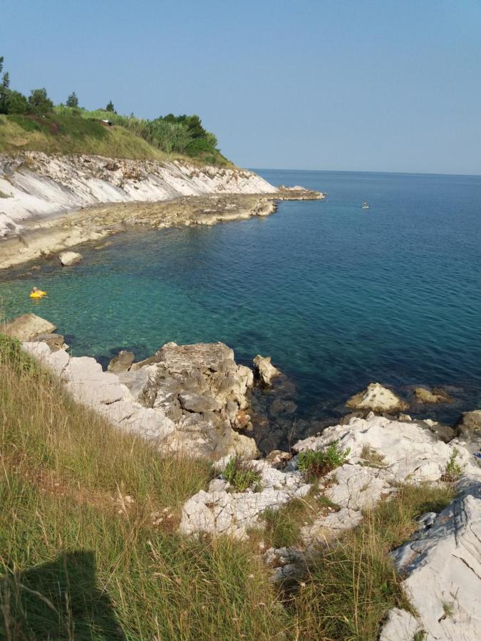 Apartman Dea Crveni Vrh Exterior foto
